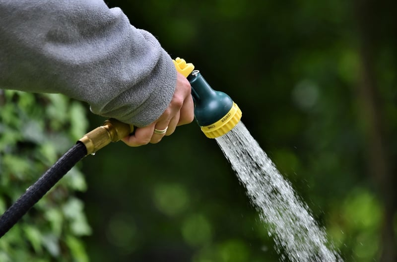 Magical Watering Cans